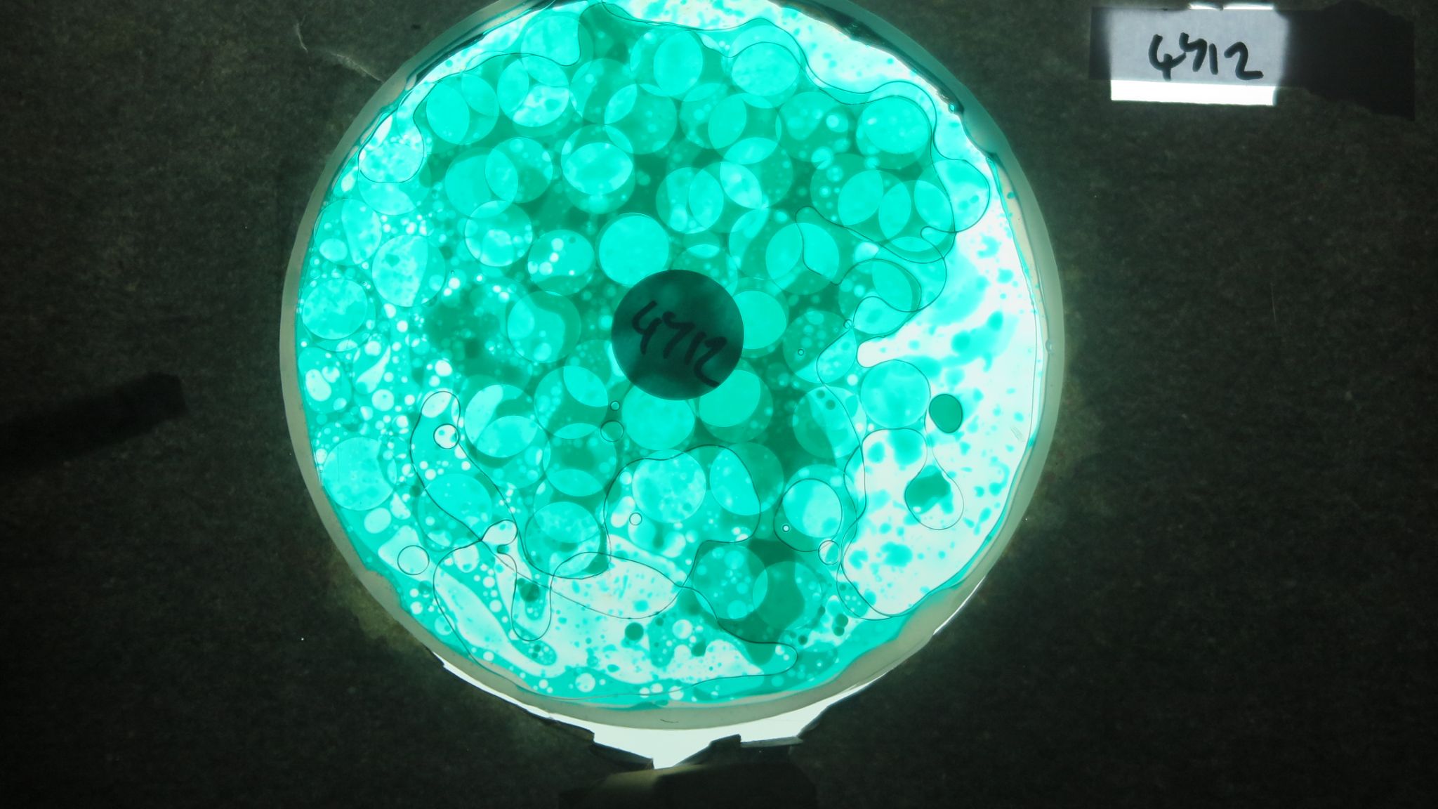 BV4712 bubble vision oil wheel